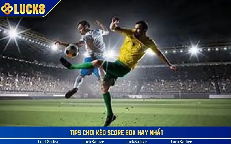 Tips đặt cược score box trong thế giới bóng đá ngày nay