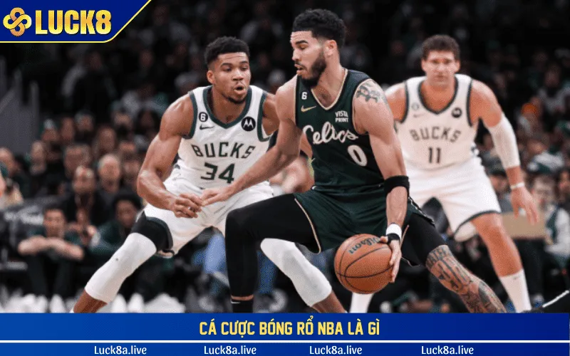 Cá cược bóng rổ NBA là gì?