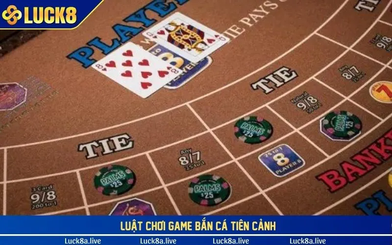 Một số tips đặt cược Baccarat online hay nhất cho newbie