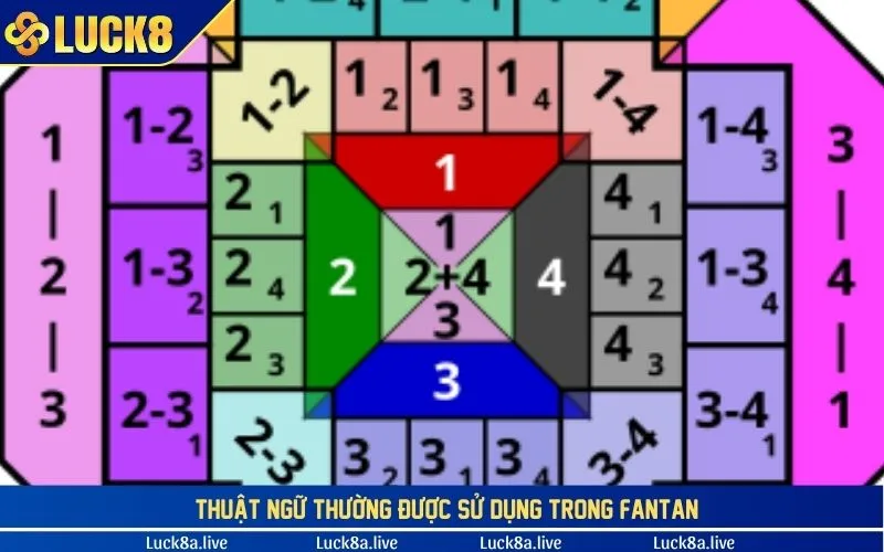 Thuật ngữ thường được sử dụng trong Fantan 