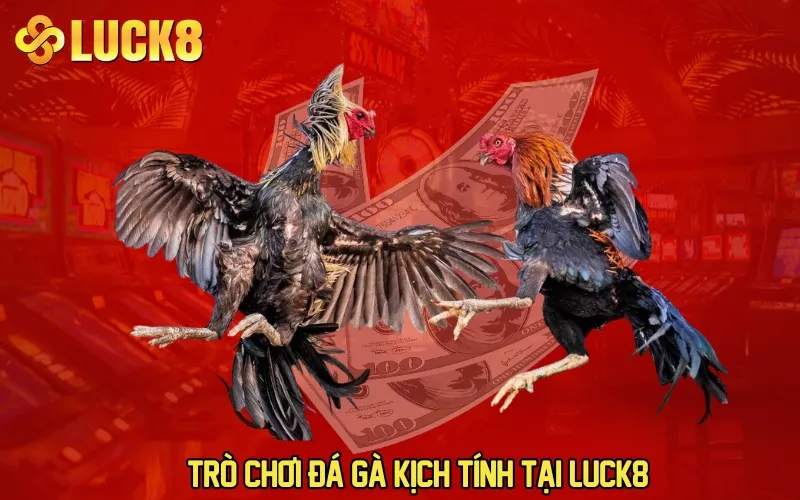 Trò chơi đá gà kịch tính